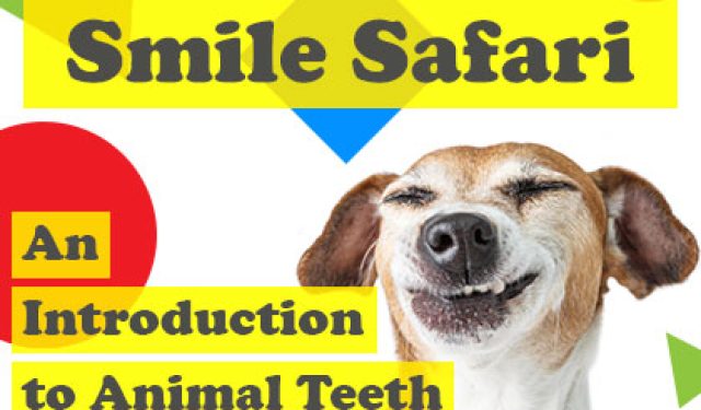 Smile Safari: An Introduction to Animal Teeth (featured image)